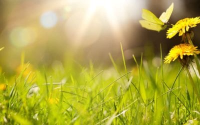 The Ultimate Student Guide to Summer 2021